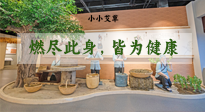 【艾草知識】小小艾草，渾身是寶，一生燃盡此身，皆為健康！
